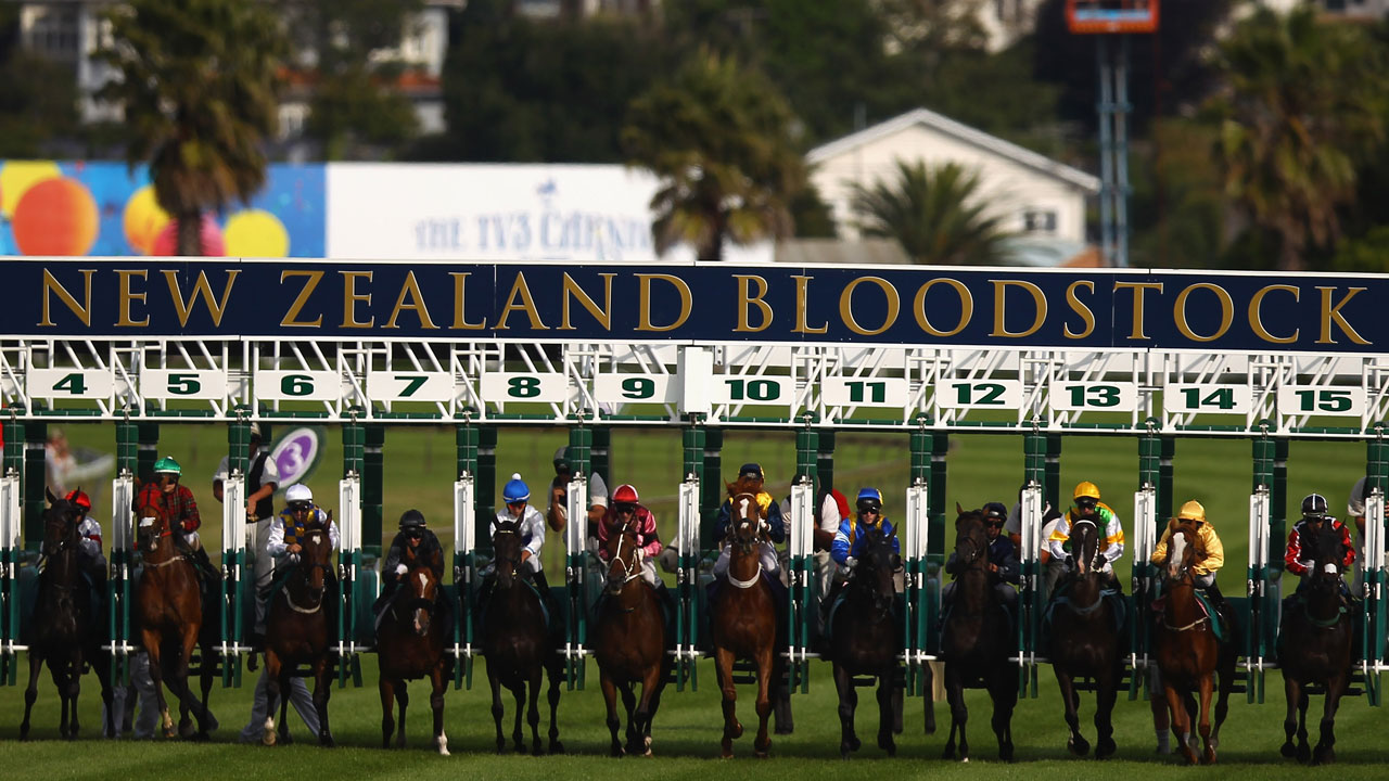 Horse racing Sportal New Zealand