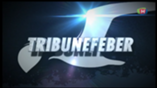 Tribunefeber