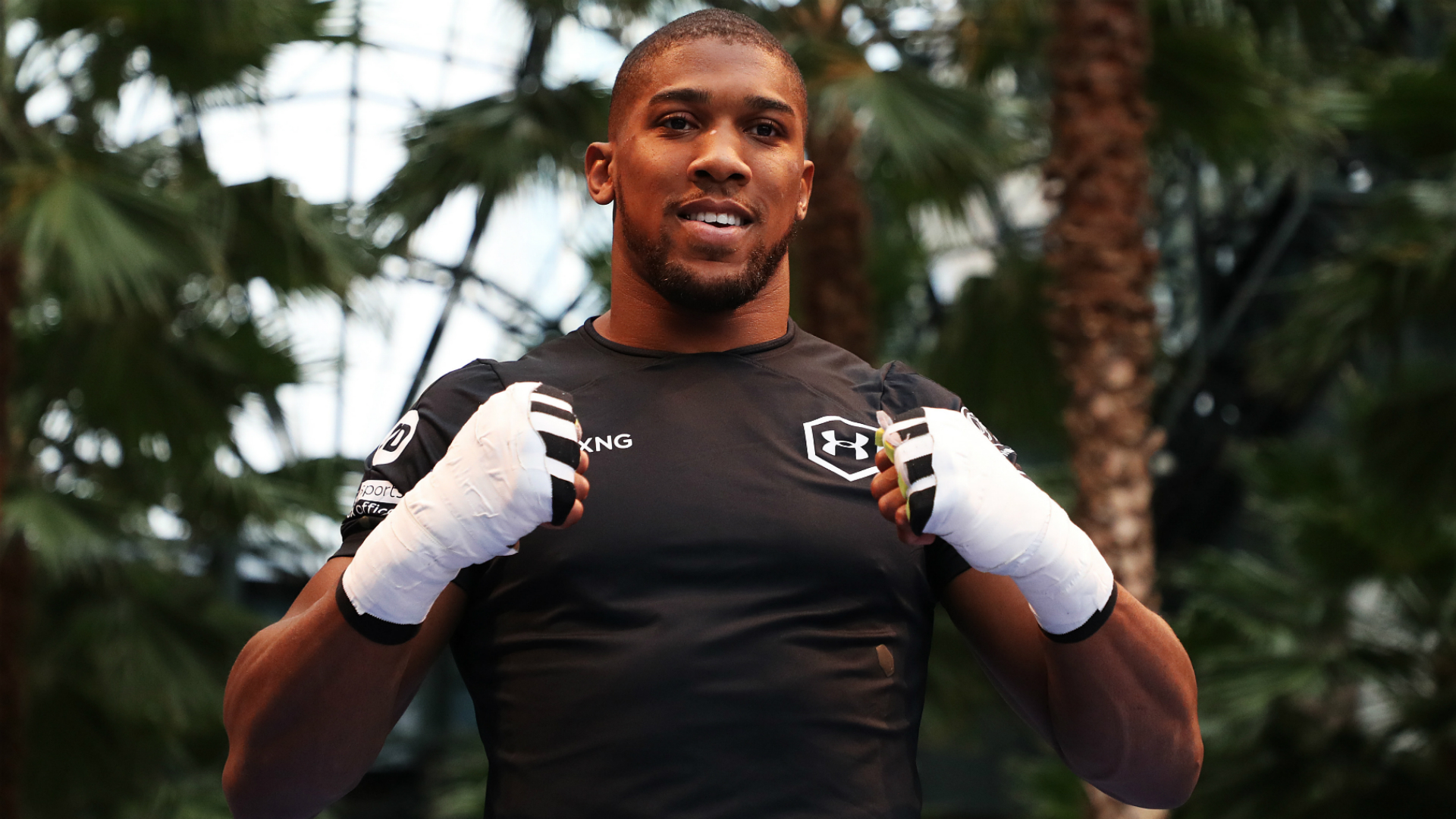 Anthony Joshua understands Deontay Wilder's MSG ringside snub