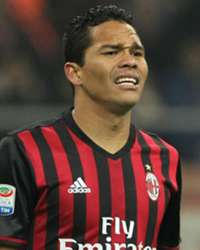 bacca-cropped_6kaq8w959lg012xoew8wtghwv.jpg