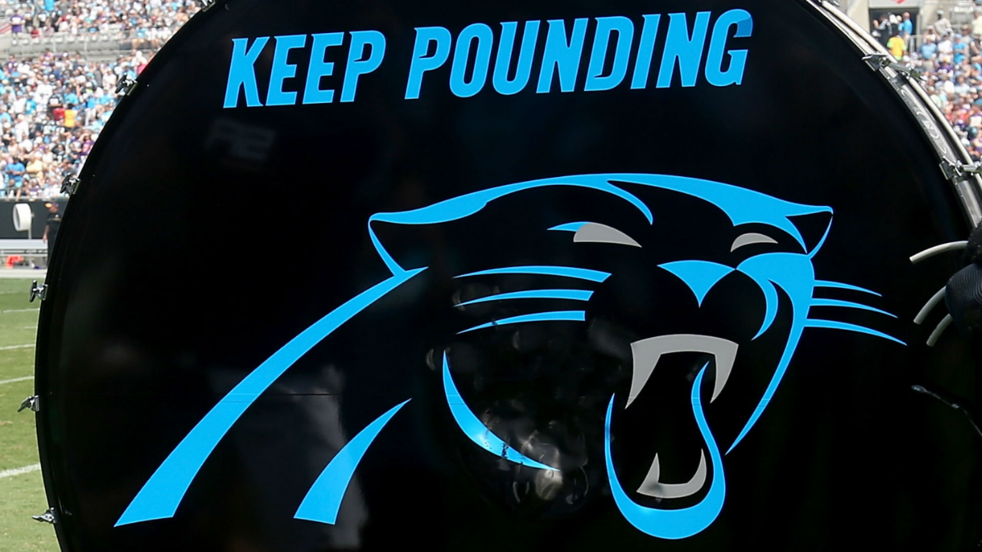 Panthers fan caught on video repeatedly punching man in face arrested