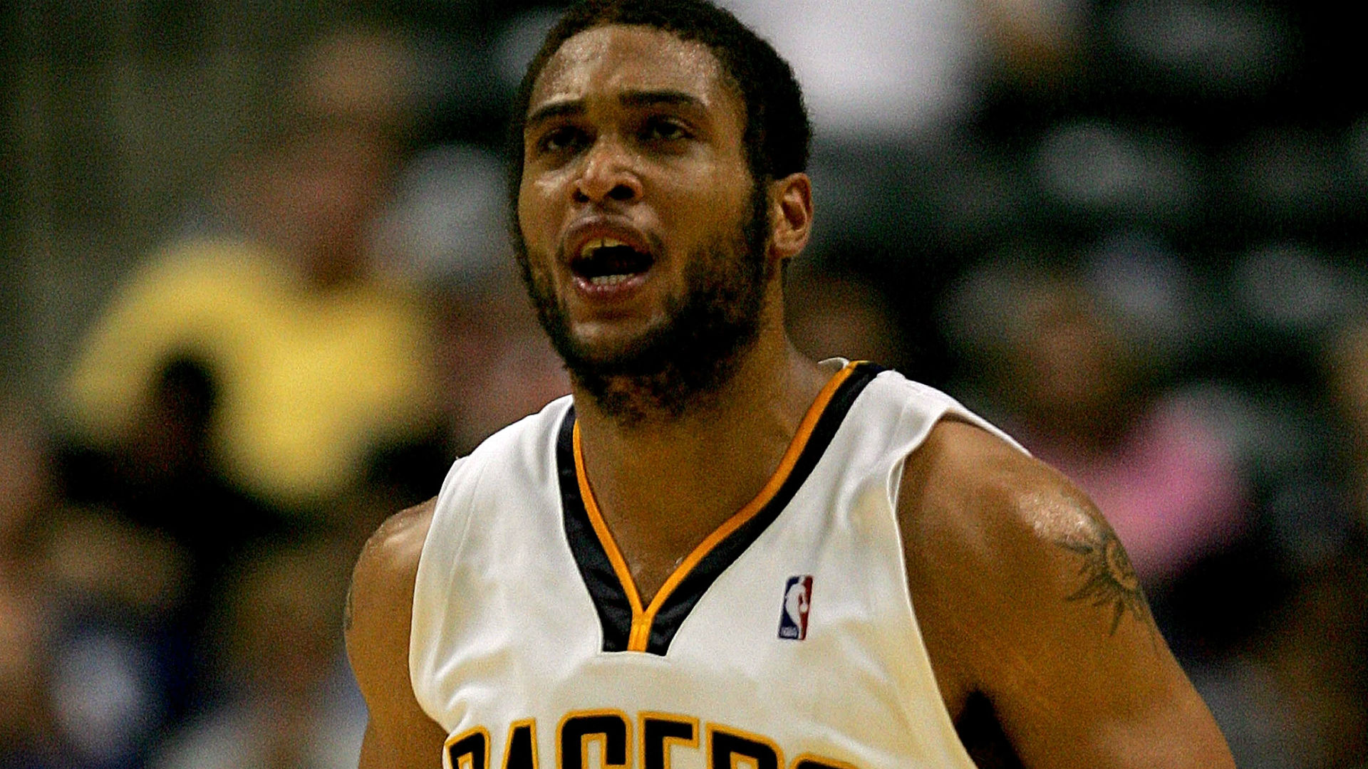David Harrison Net Worth