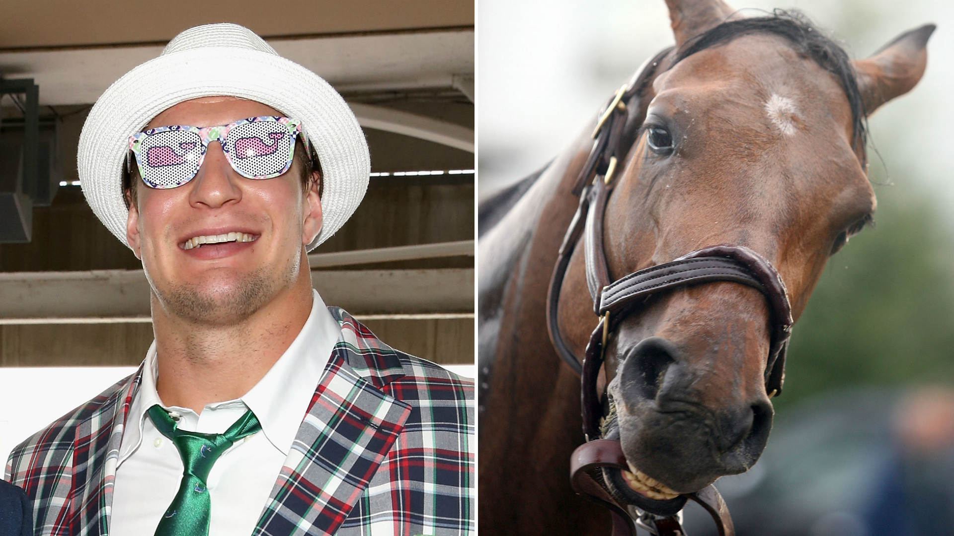 Rob Gronkowski may have a horse named after him race in Kentucky Derby