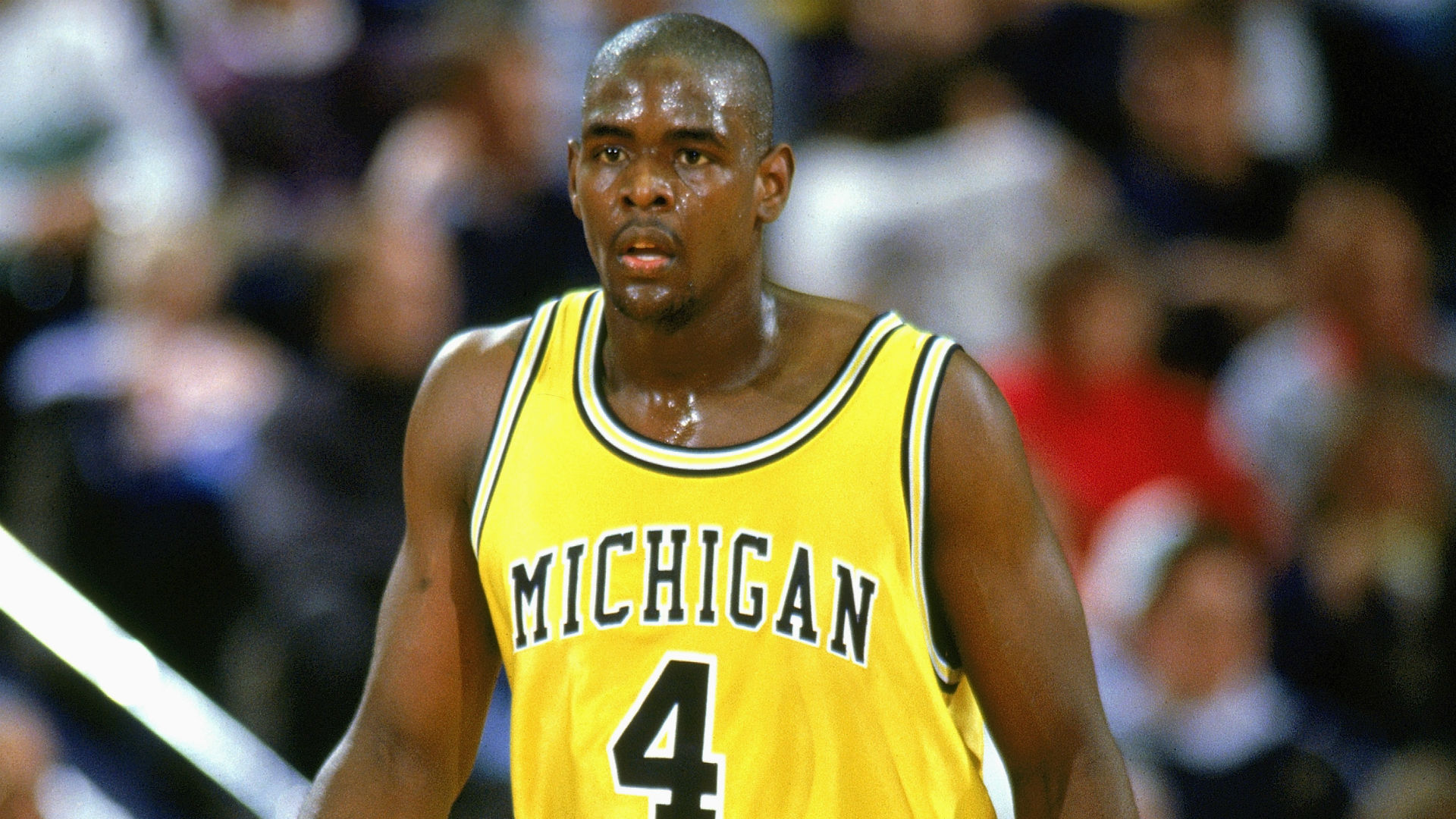 chris webber college ile ilgili gÃ¶rsel sonucu