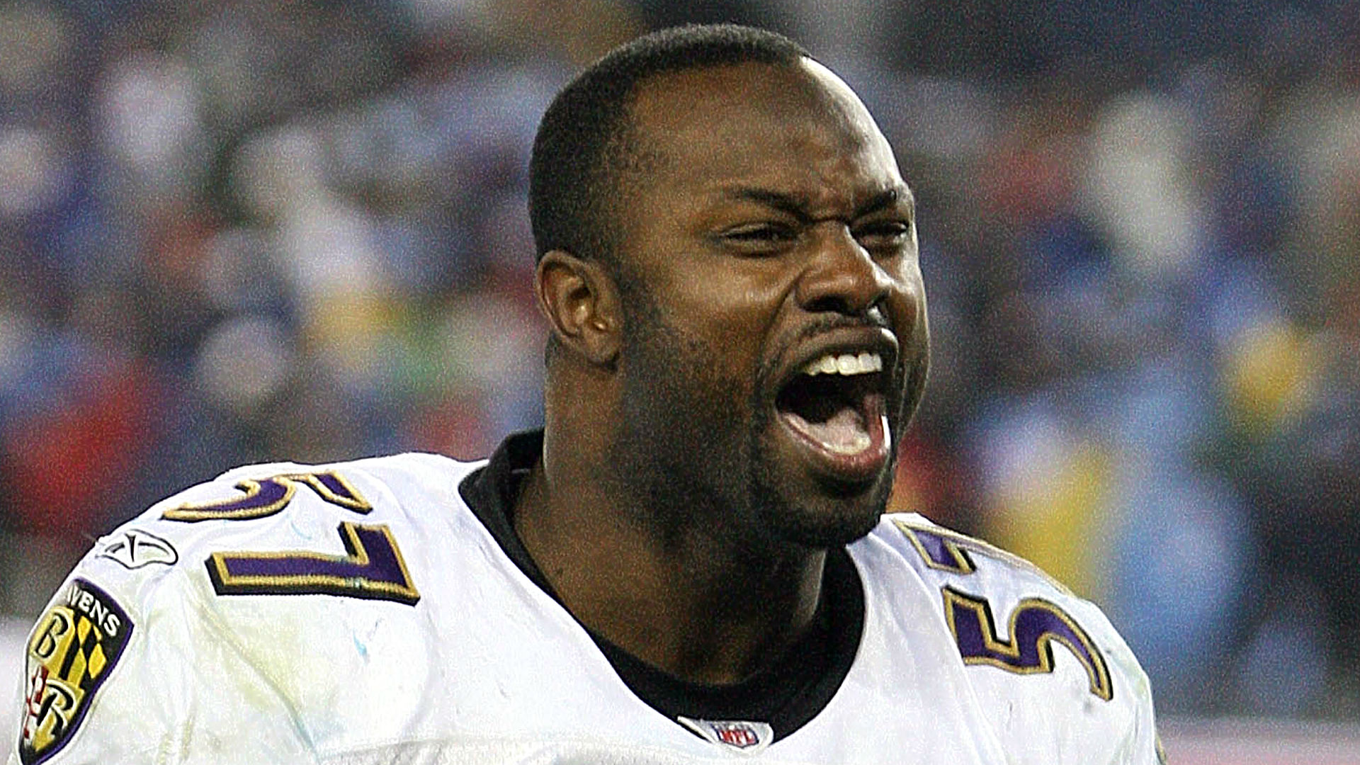 Bart Scott Net Worth