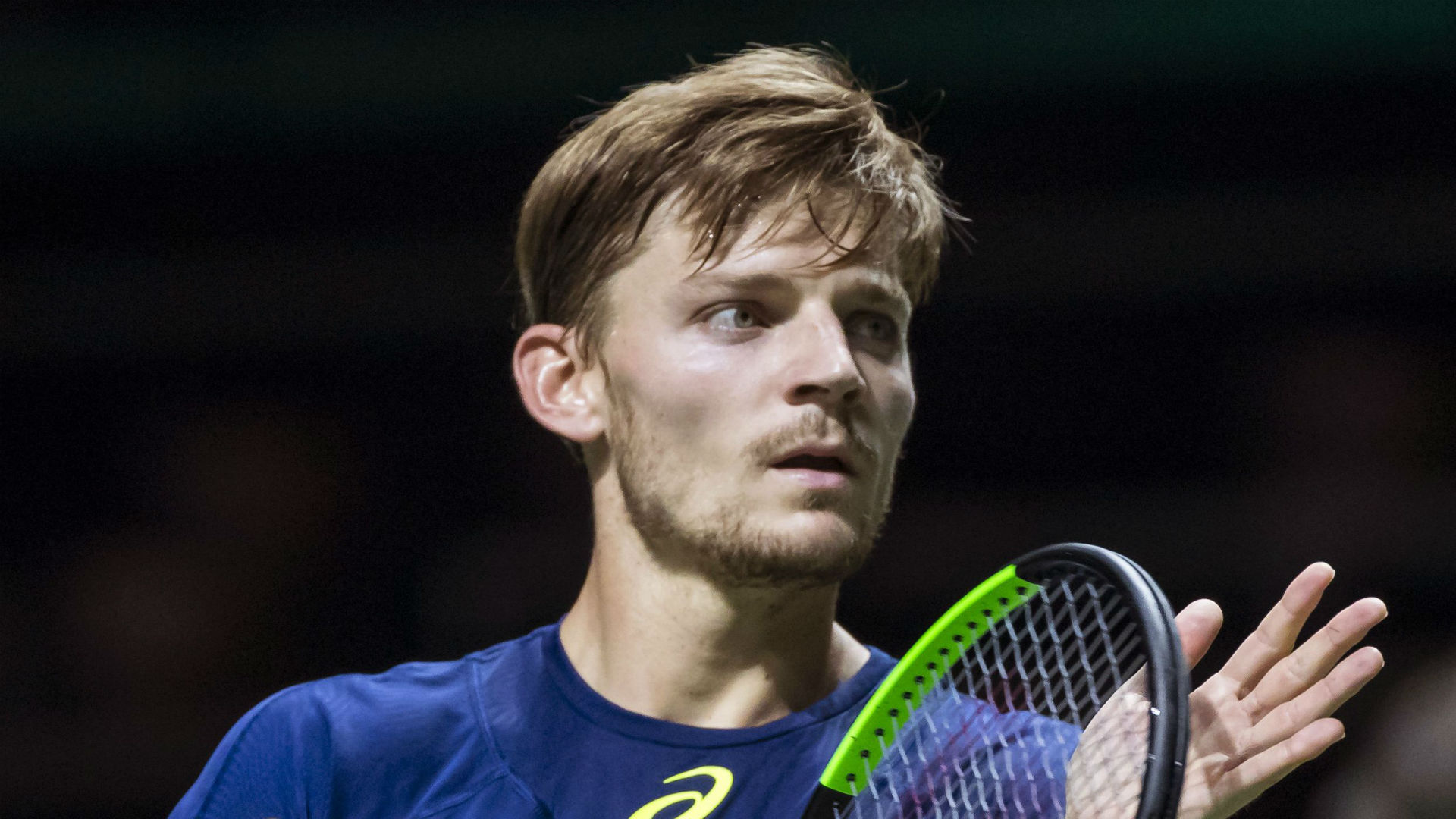 Goffin gains revenge on Dimitrov to book Rotterdam semi - sportal.co.nz