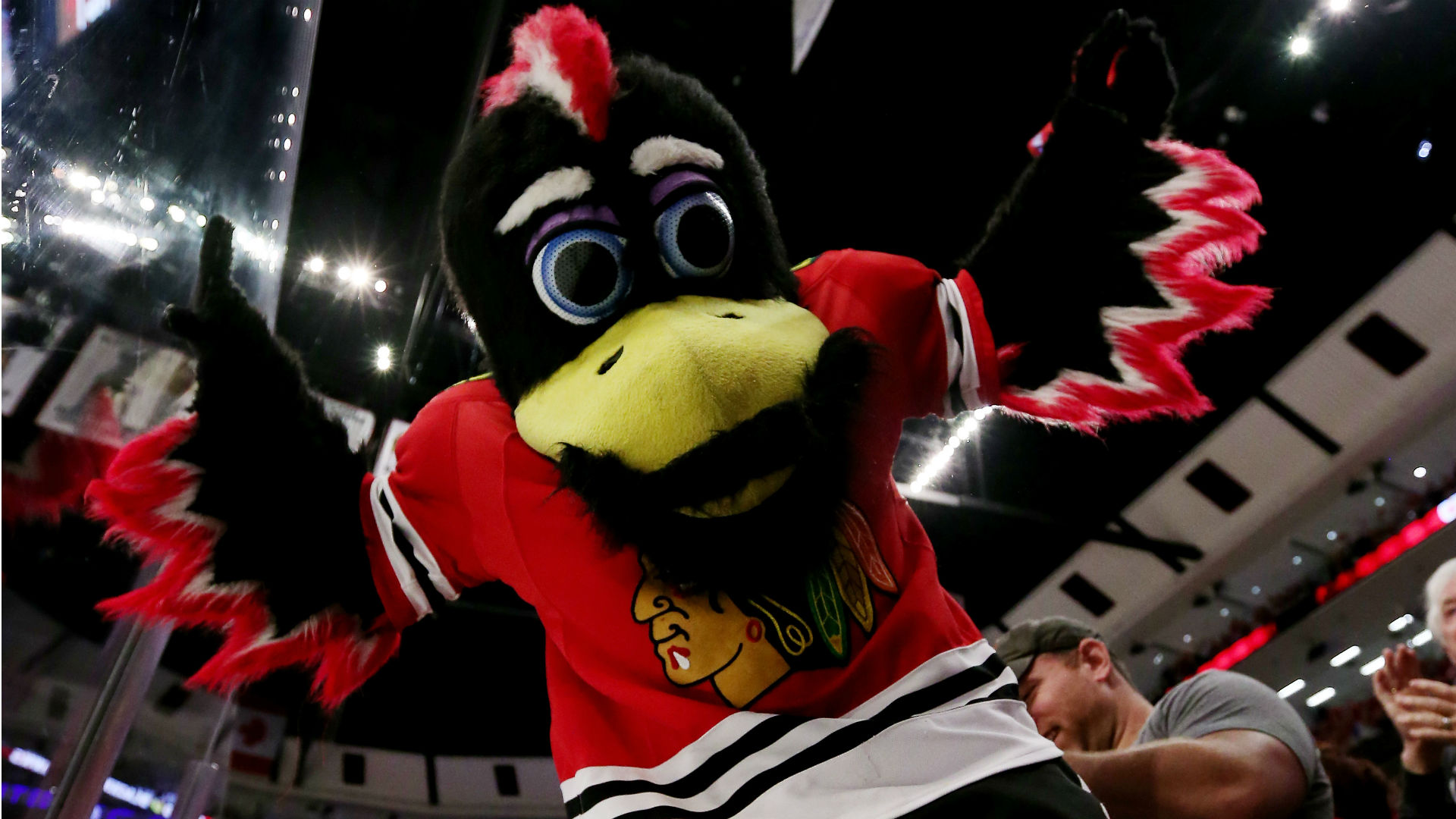 NHL's Blackhawks probe mascot's fan fight