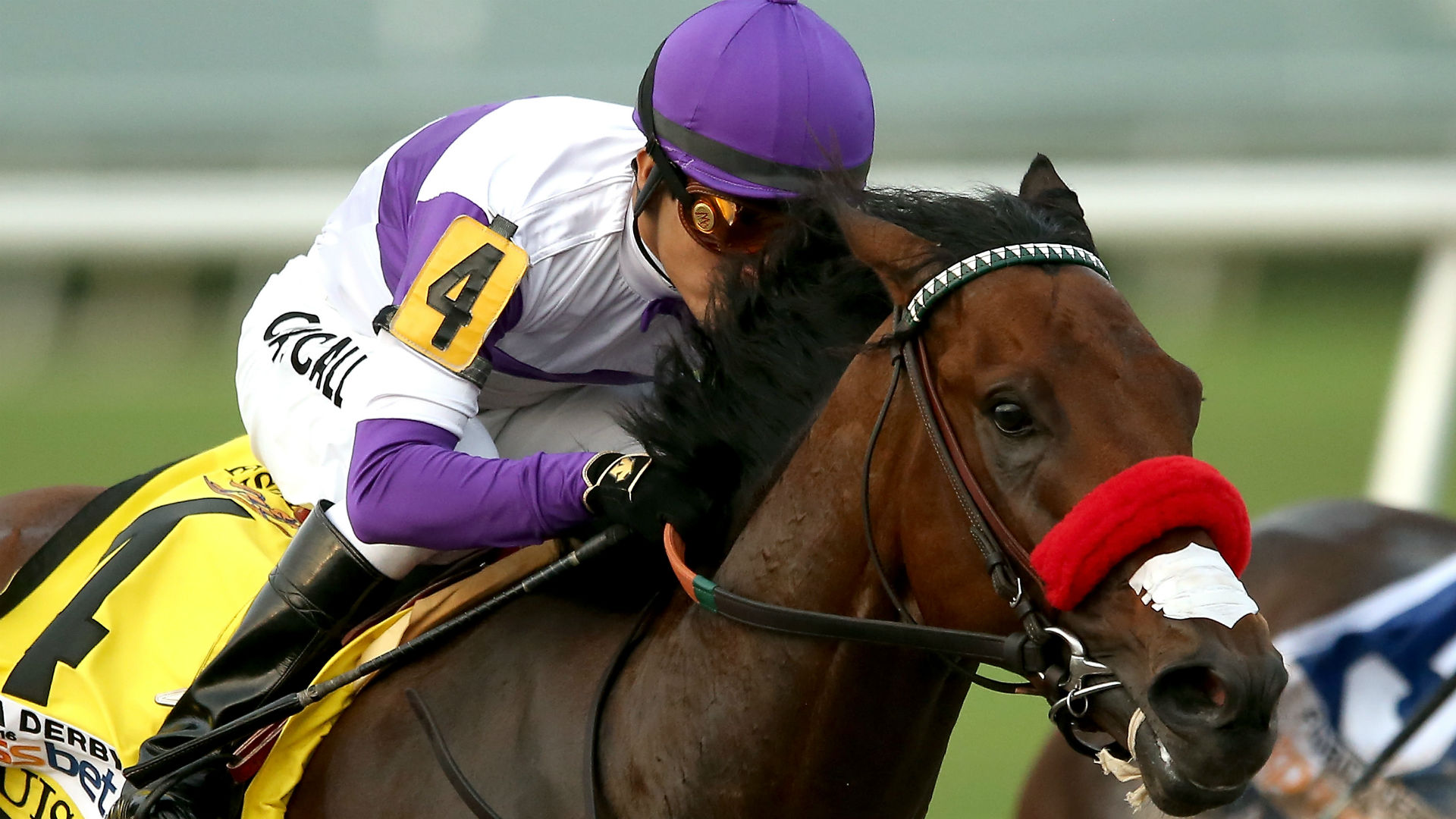 Kentucky Derby 2016 Nyquist begins chasing American Pharoah Other