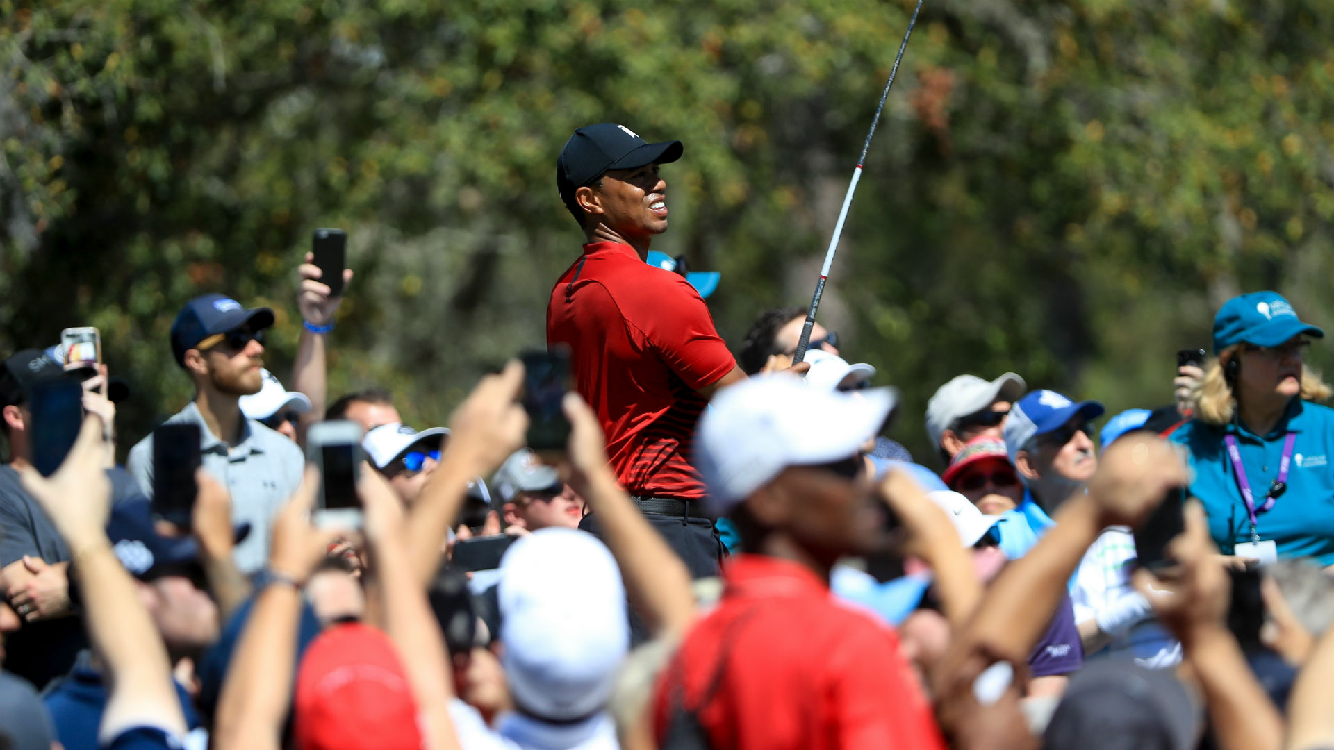 Valspar Championship: England's Paul Casey beats Tiger Woods by one shot Valspar Championship: England's Paul Casey beats Tiger Woods by one shot