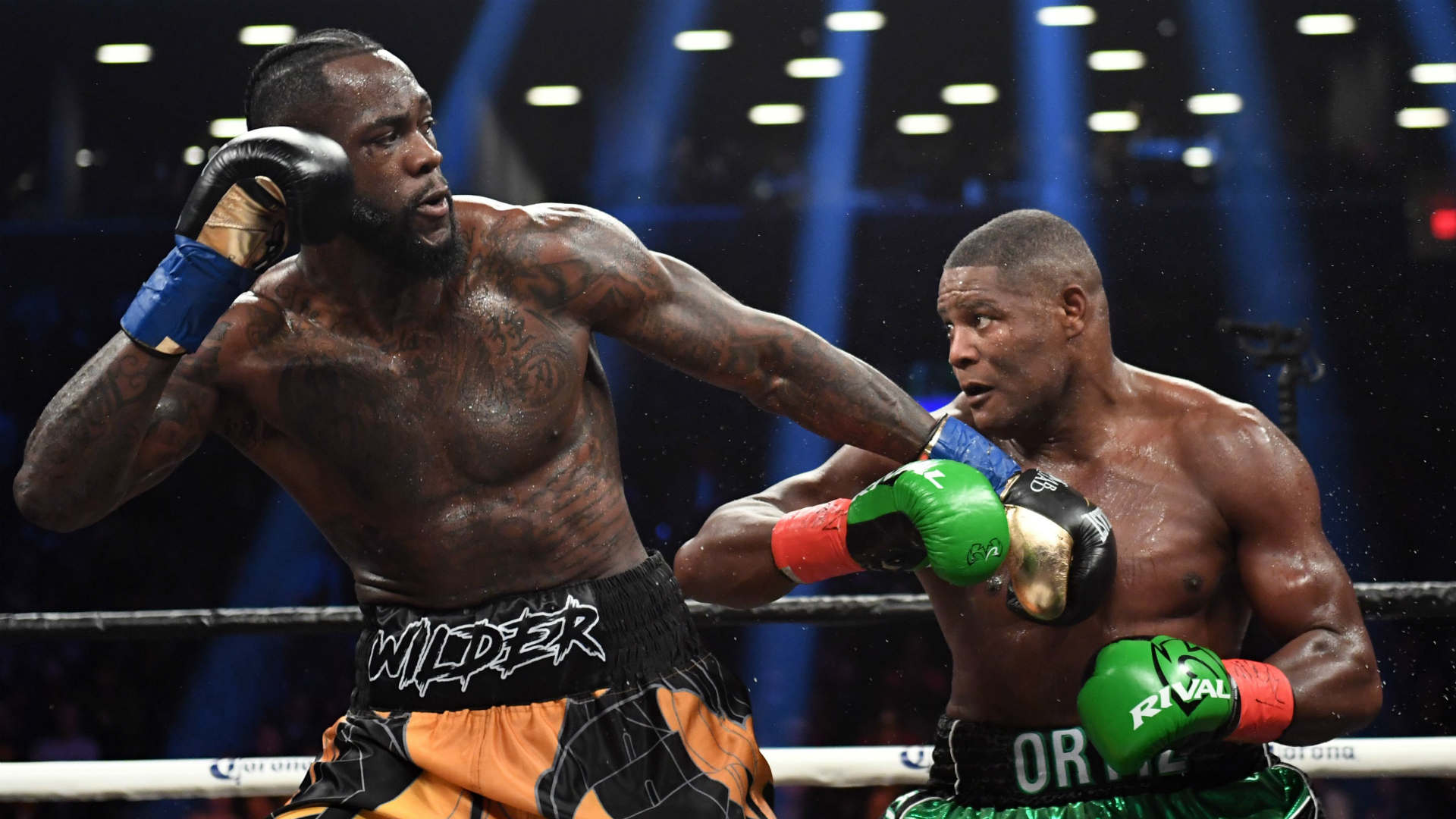 Ortiz Wilder Ortiz Wilder