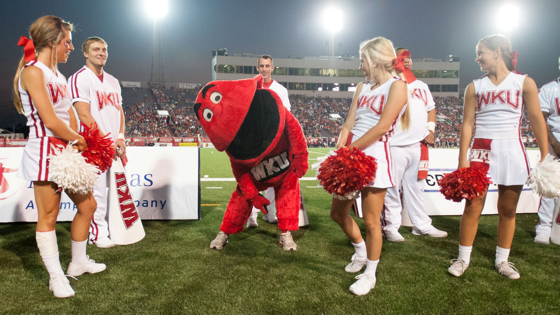 why western kentucky mascot big red is back in italian court