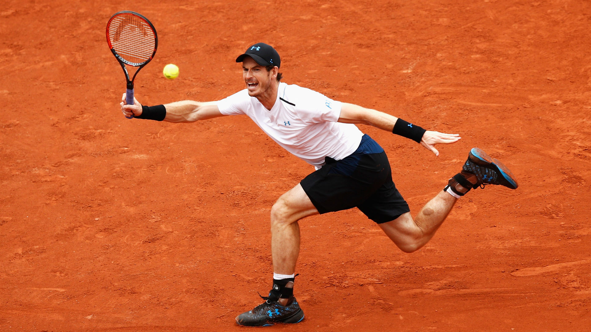 Andy Murray- cropped