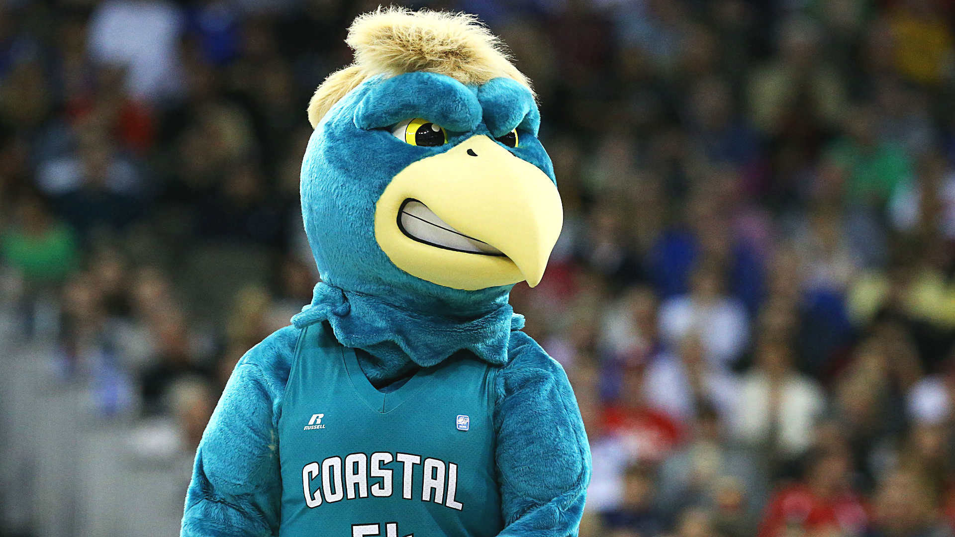 Coastal Carolina to join Sun Belt Conference in 2016, move to FBS in