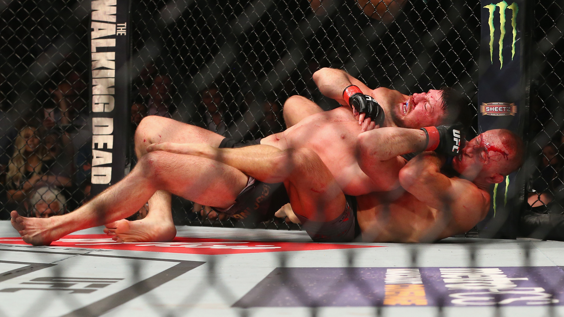 Georges St-Pierre stuns Michael Bisping to win UFC middleweight title