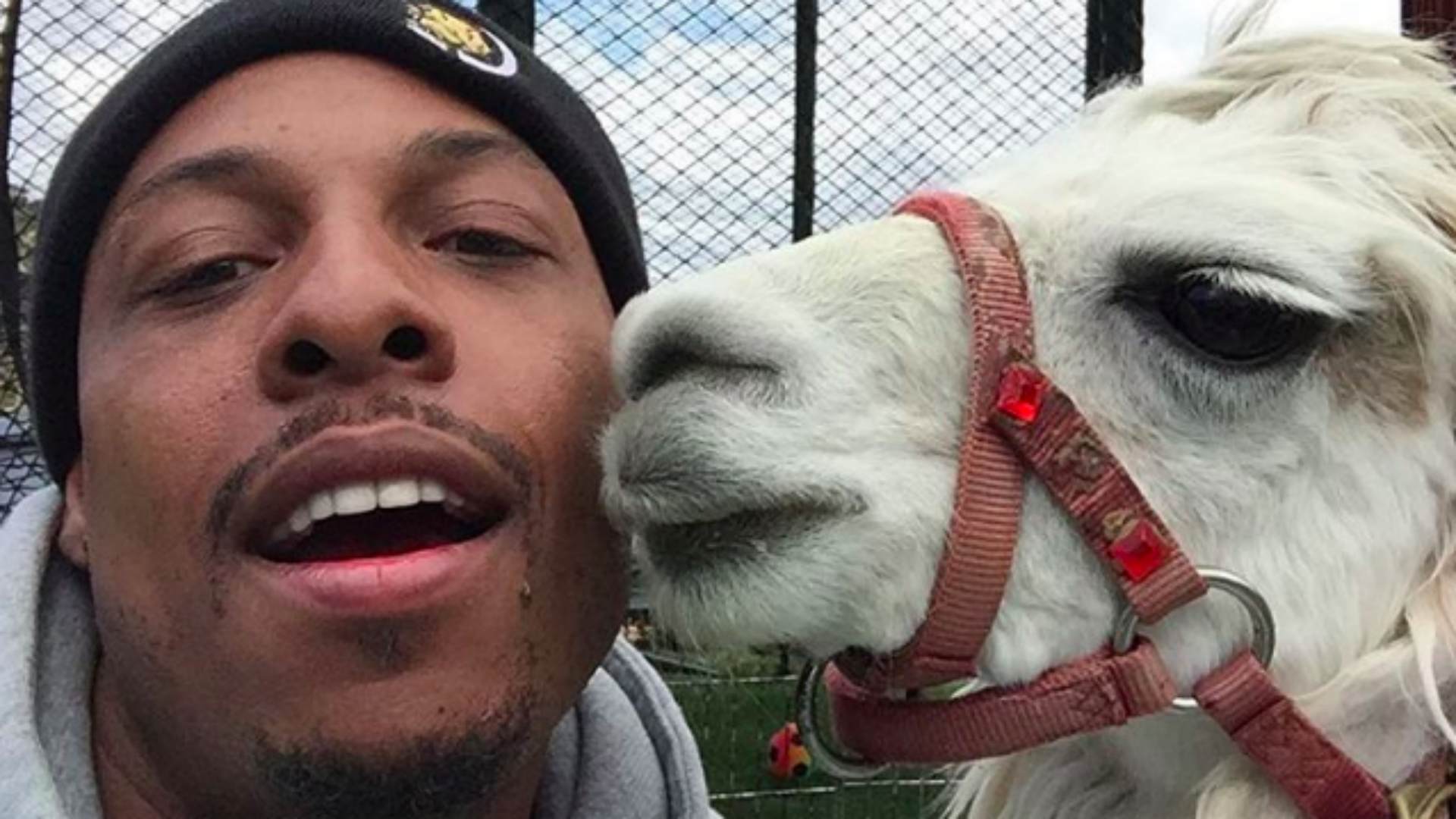Paul Pierce surprises daughter with llama for 5th birthday NBA