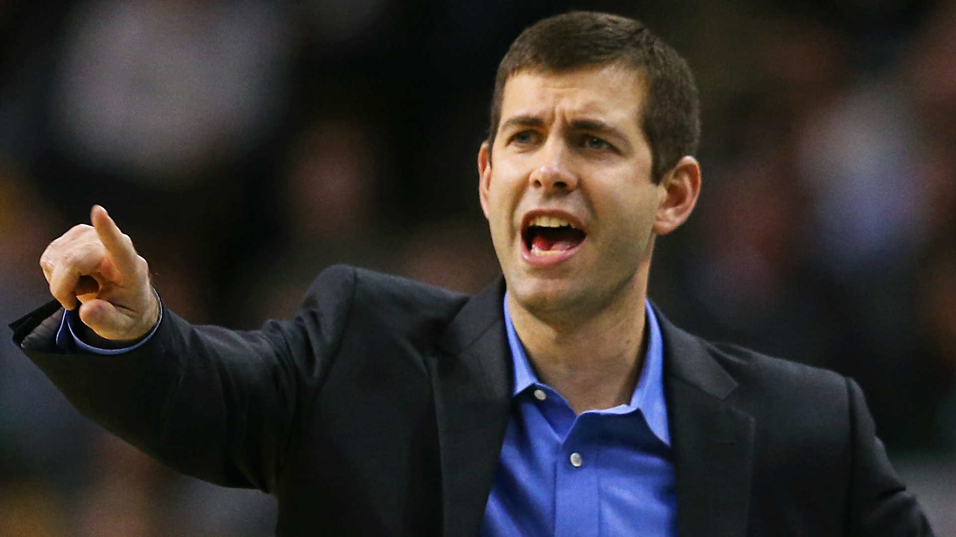 The Hunt by Brad Stevens