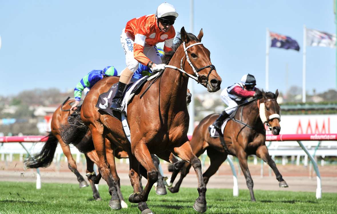 Other Kiwi horse Who Shot Thebarman takes third in Melbourne Cup