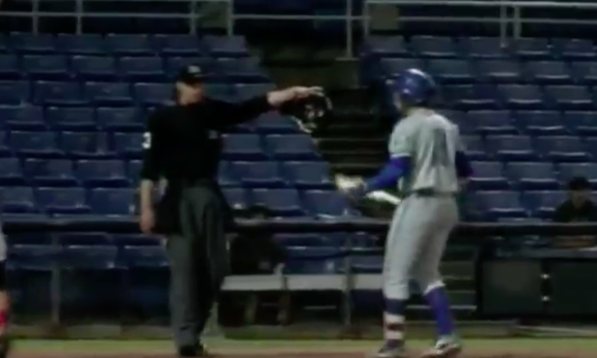 Minor League Player Strikes Out on Rolling Short Pitch