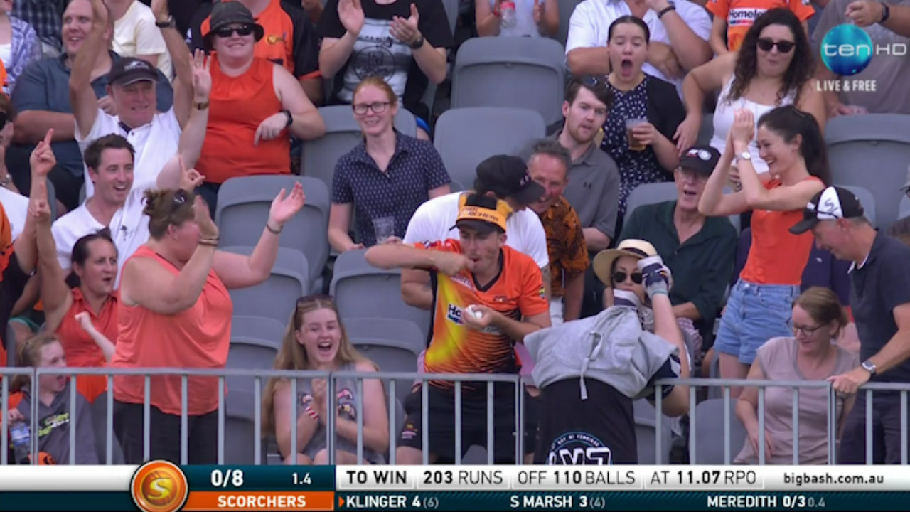 WATCH Bloke takes great crowd catch, proceeds to make instant fool of