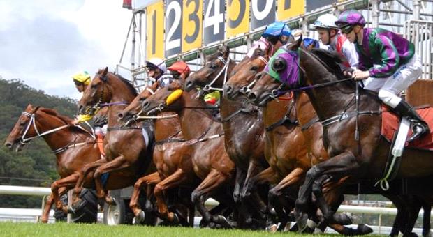 Irish Racing Tips