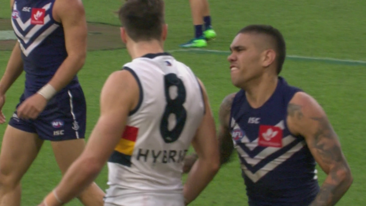 Image result for michael walters 2018 punch