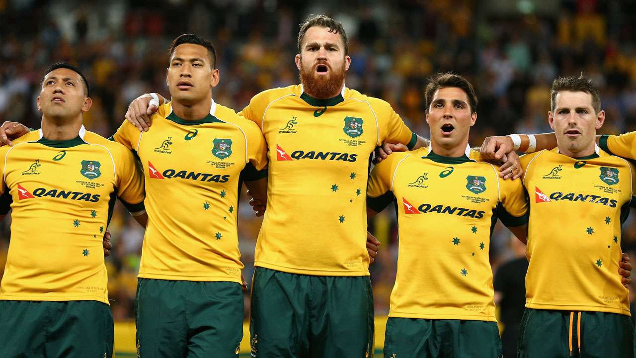 [Image: wallabies_1tf1sxvff1fuj1v7s71os1ztkx.jpg...1000&h=750]