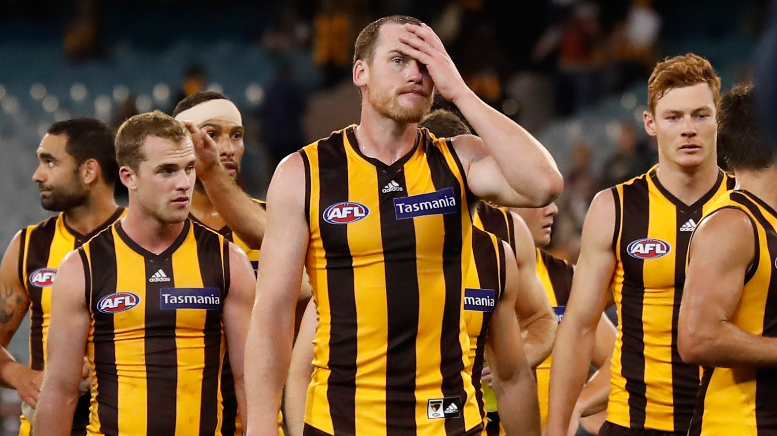 Season review HAWTHORN AFL Sporting News