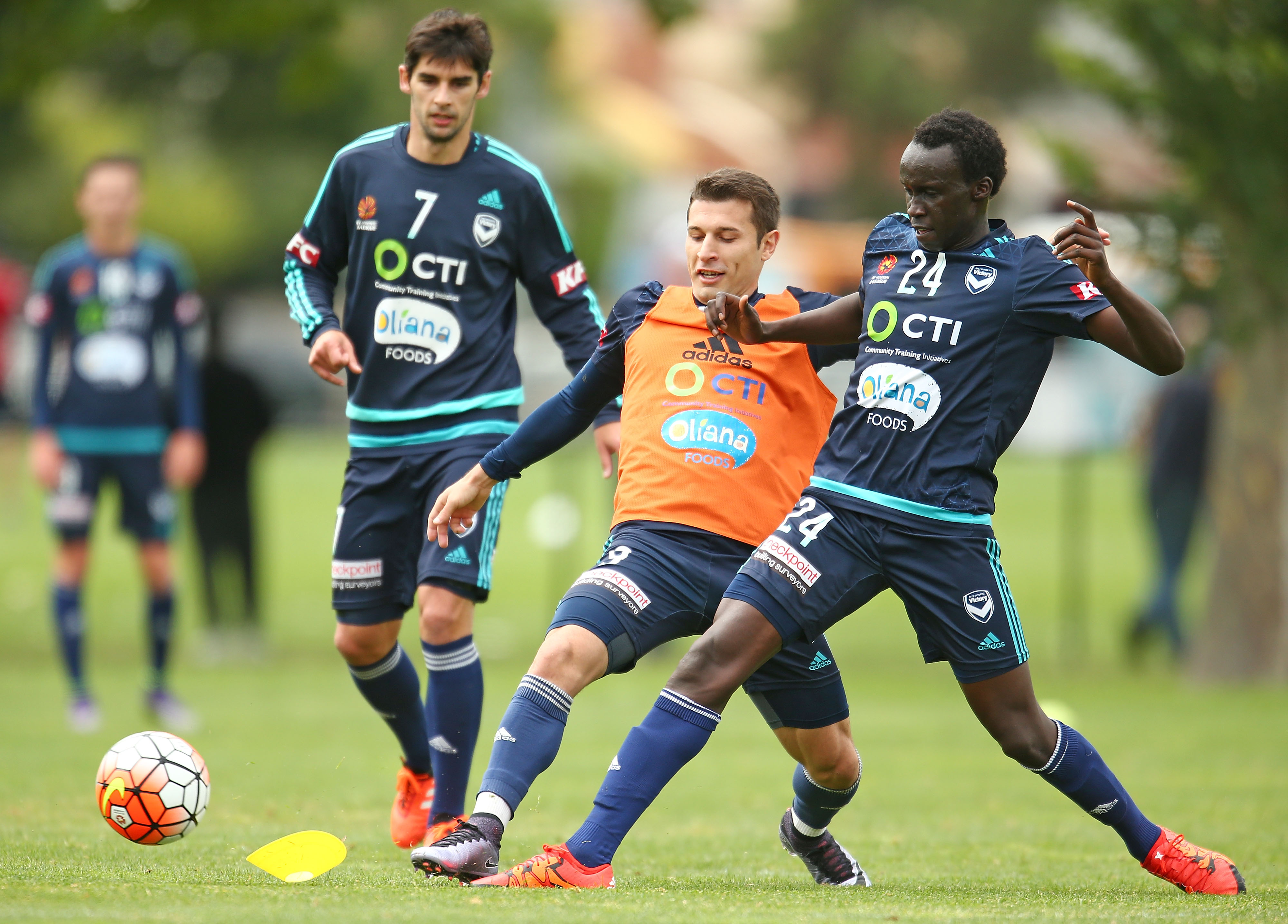 Waltraud wende dissertation 06 image