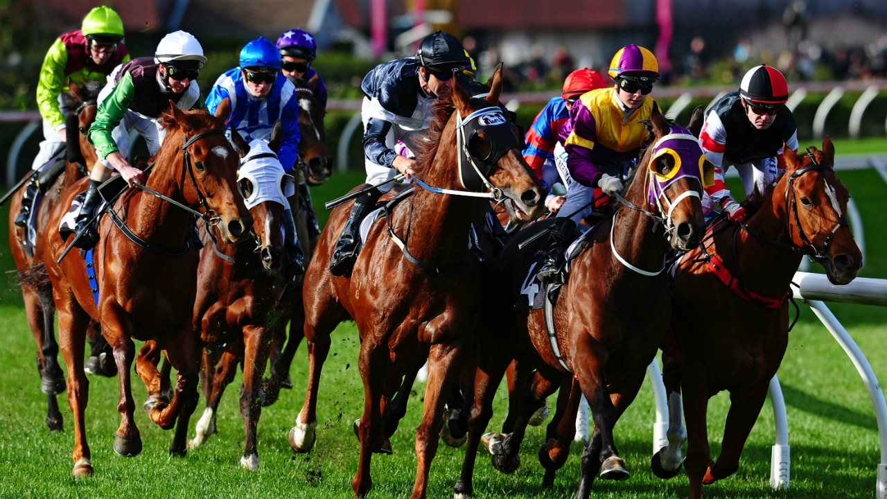Holy Roller Australia's biggest racehorse Horse Racing Sporting News