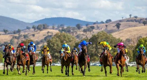 Greg Polson's view - Mare gets all the ticks at Albury | Sportal Australia