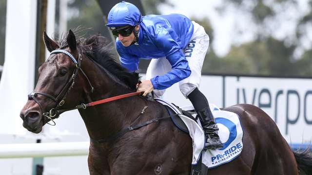 golden slipper winners and placegetters finding the 2015 golden slipper winner golden slipper winners and placegetters finding the 2015 golden slipper winner
