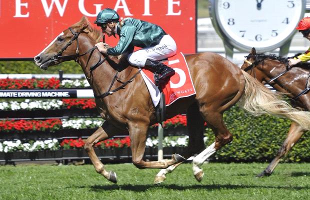 golden slipper winners and placegetters 2017 golden slipper betting markets are out and history golden slipper winners and placegetters 2017 golden slipper betting markets are out and history
