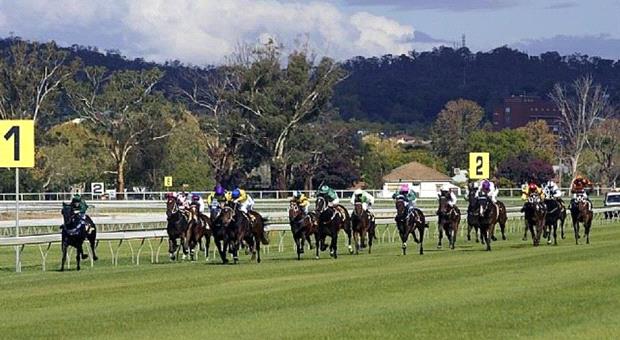 Greg Polson's view - Value for punters at Wagga - Sporting News