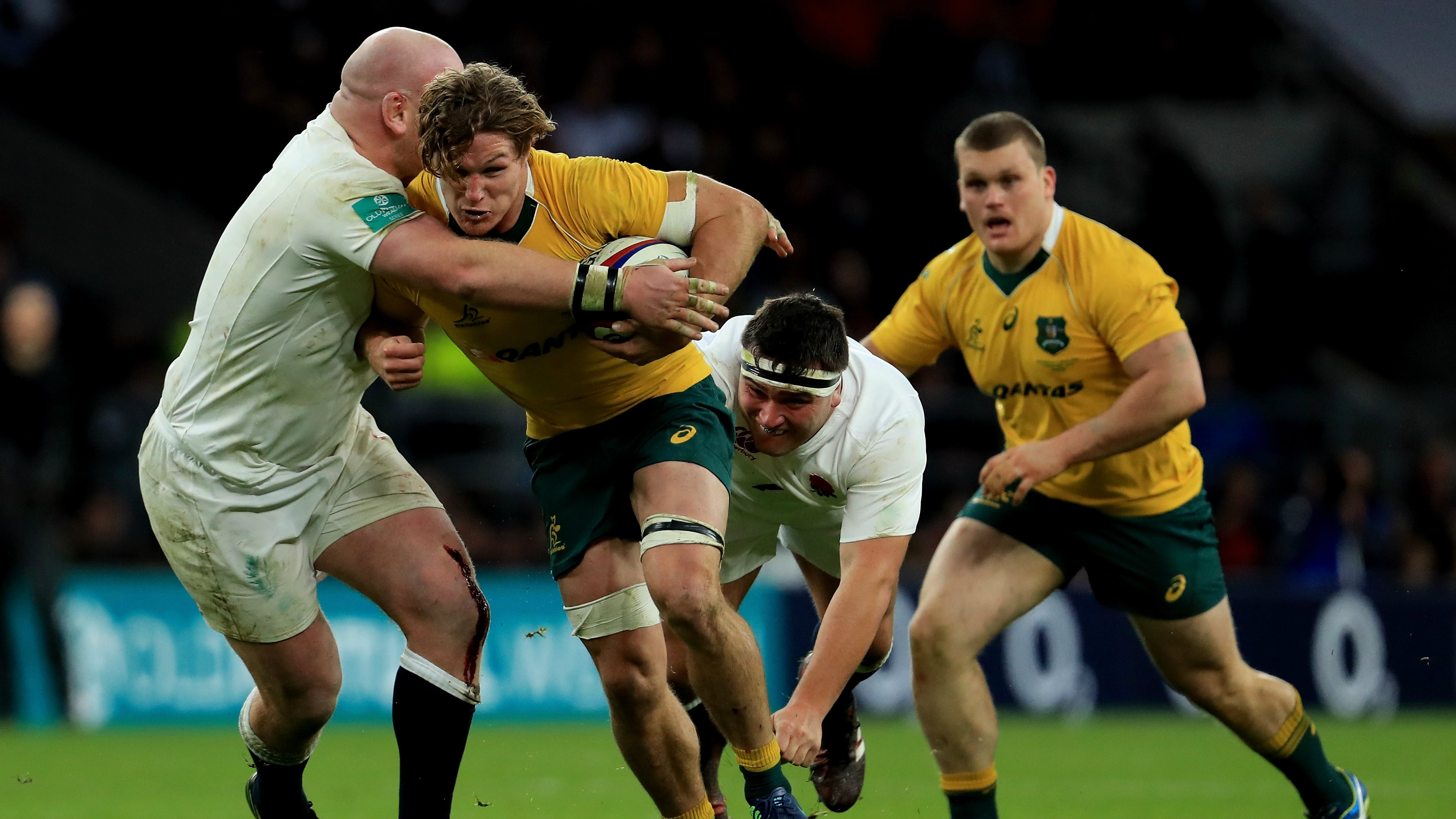 Wallabies Spring Tour Dates Wallabies Spring Tour Dates