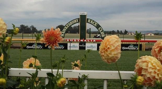 FREE Racenet Raceday - Hawkesbury, February 25 | Sporting News - NFL ...