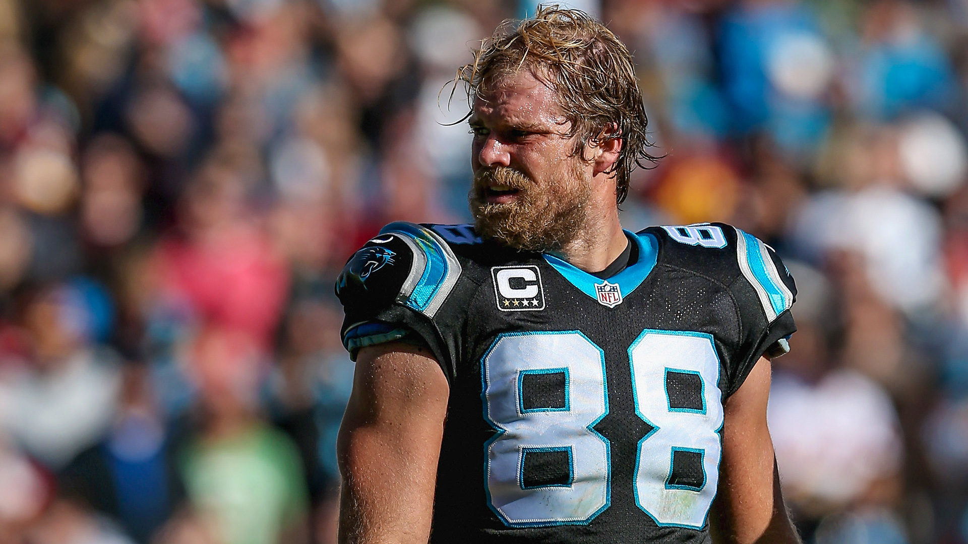 Greg Olsen Sees 2016 As A New Story For Panthers Nfl Sporting News