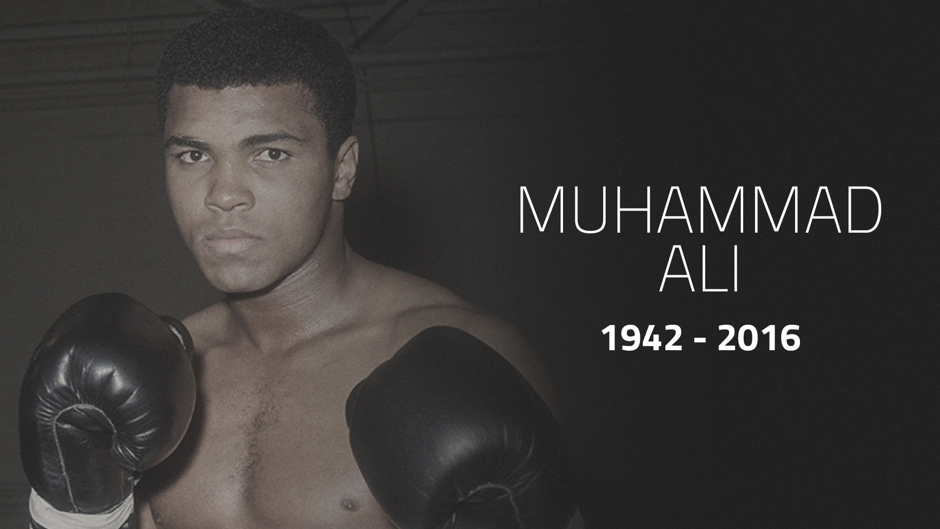 Muhammad Ali was 'The People's Champ' as much as 'The Greatest' | Other ...