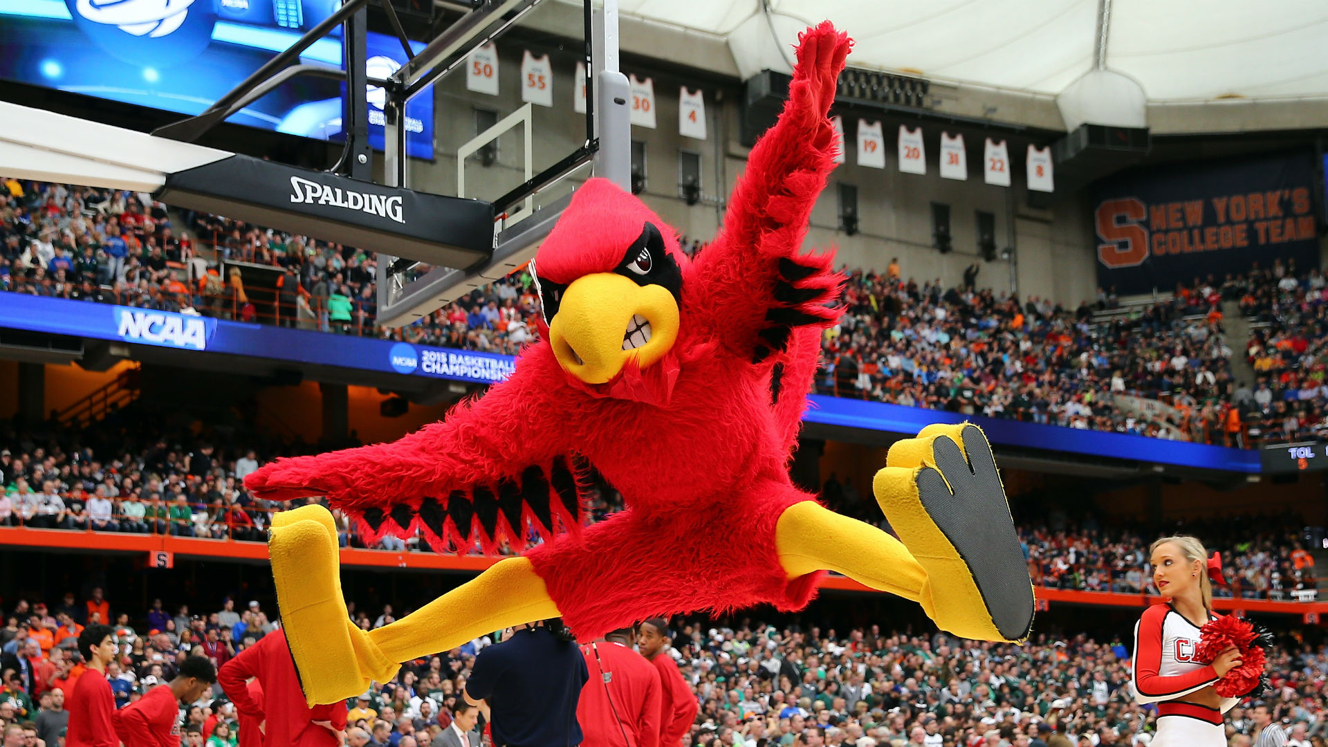 How to watch Louisville basketball's Puerto Rico tour NCAA Basketball