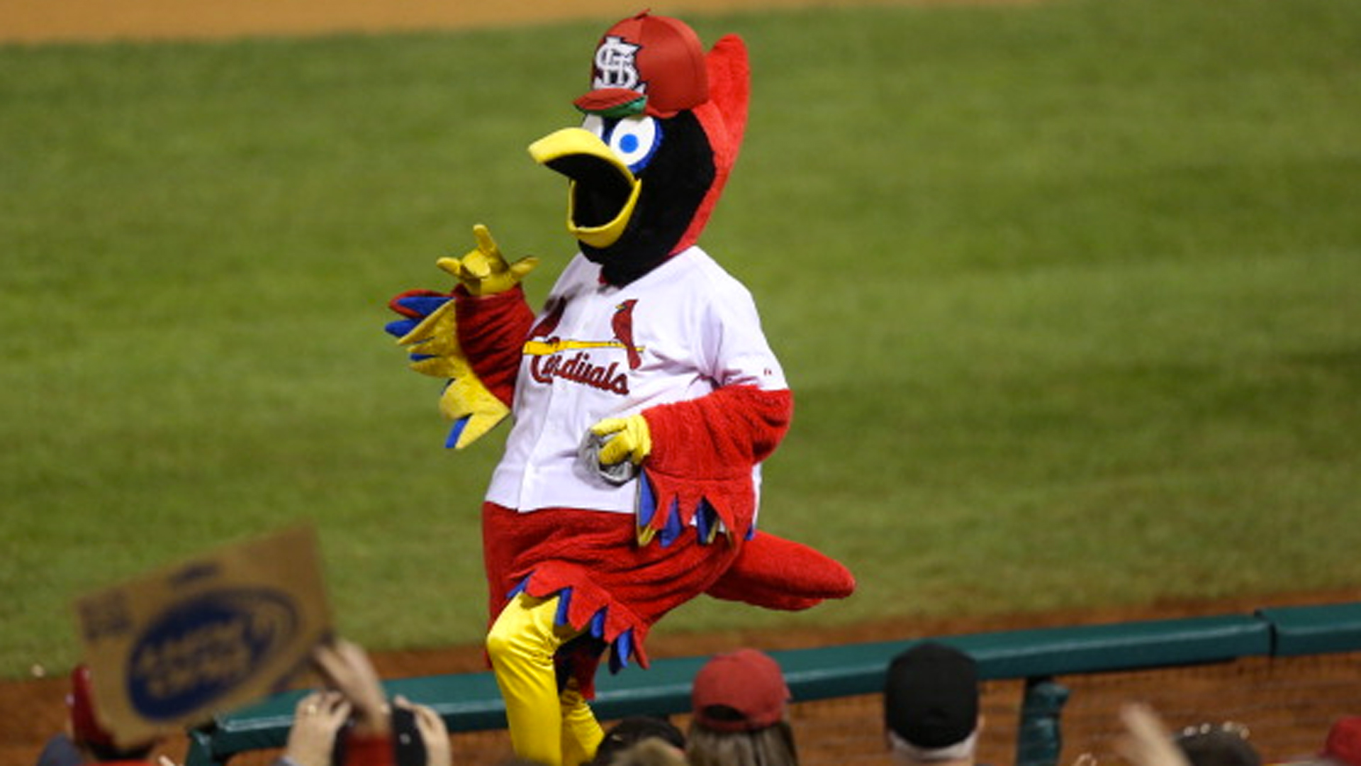 We Asked A Toddler To Rank All Of MLB's Mascots, And It Was Adorable ...