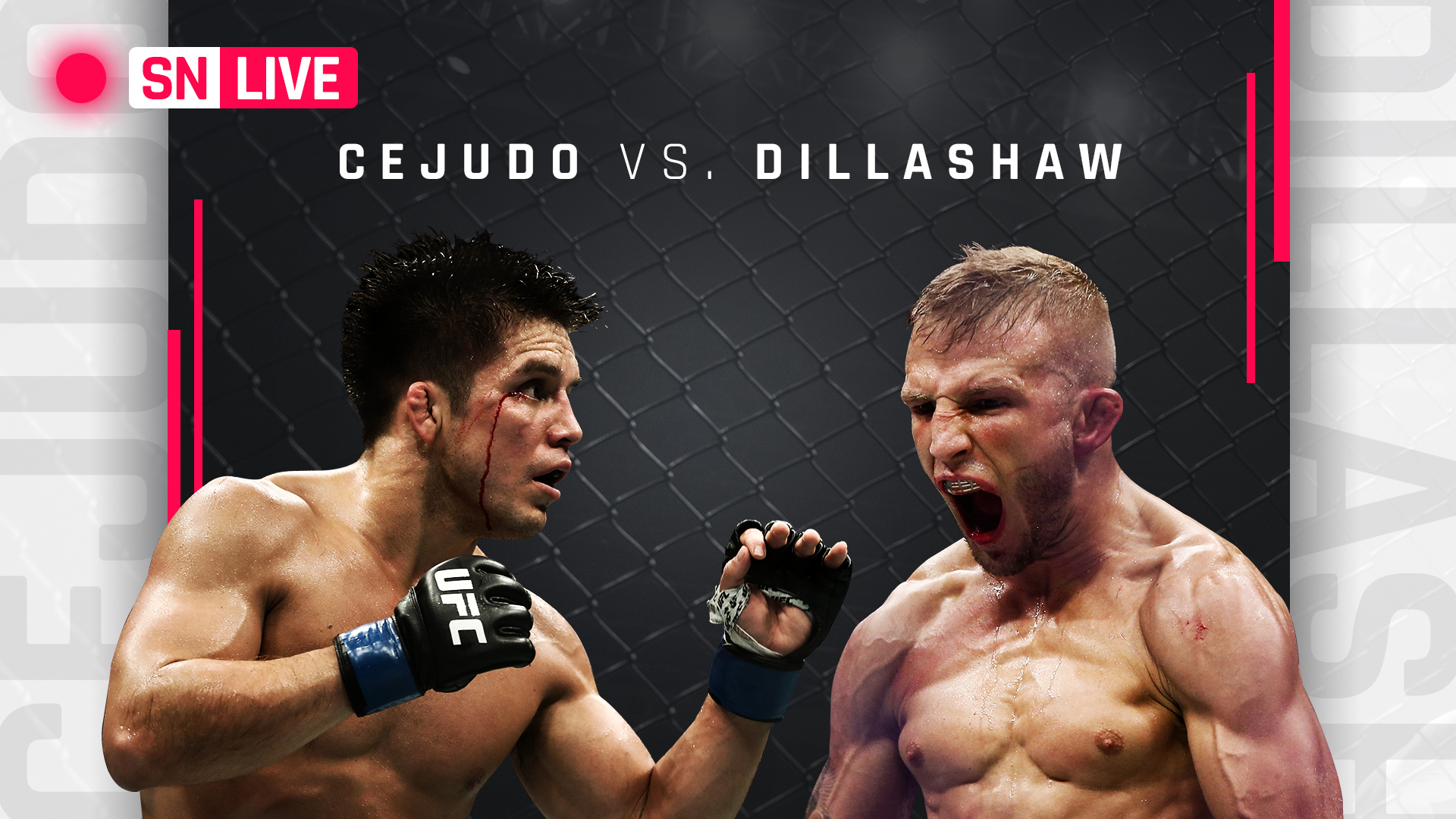 Cejudo Wins Superbout With 5th Fastest Stoppage In UFC Title Fight History