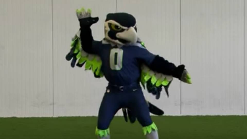 NFL mascots show off ridiculous dance moves NFL Sporting News