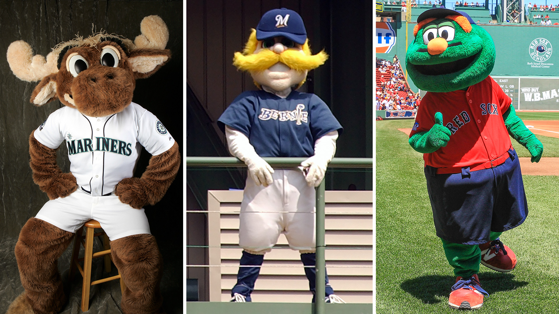 MLB's mascots, ranked by number of Twitter followers Sporting News