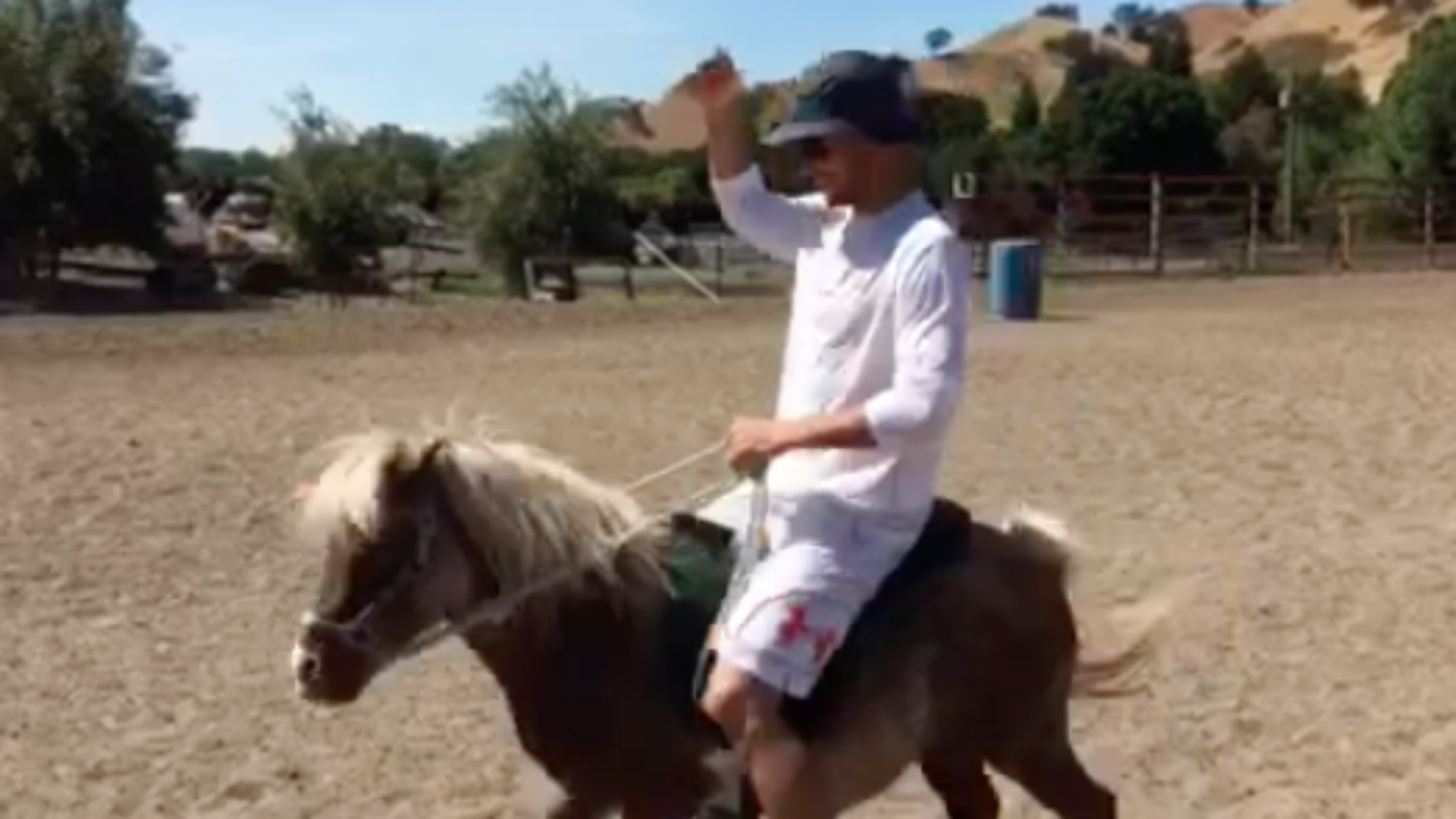 Steph Curry preps for NBA Finals with a mini horse NBA Sporting News
