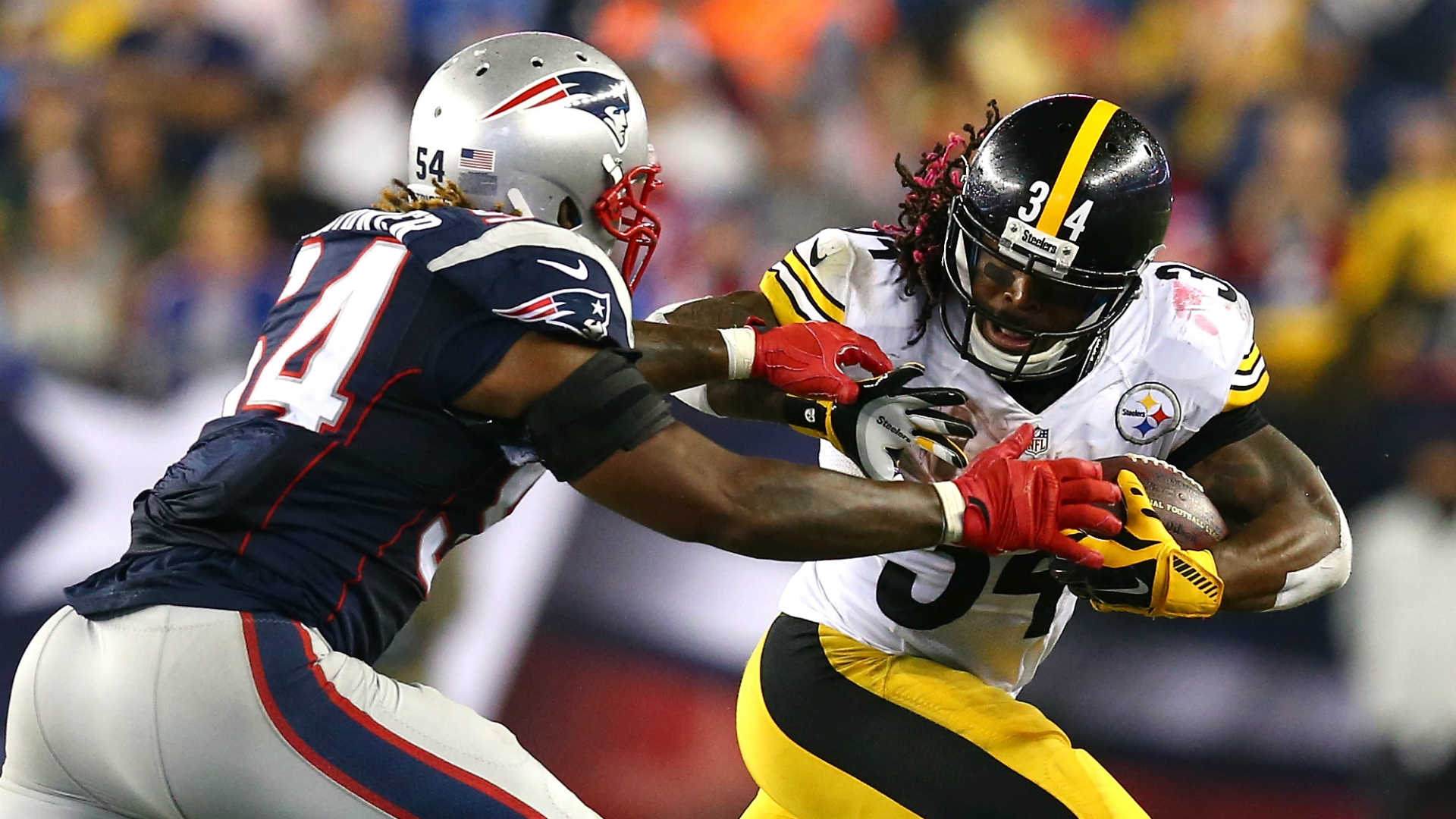 DeAngelo Williams is 'glad' the Patriots have problems