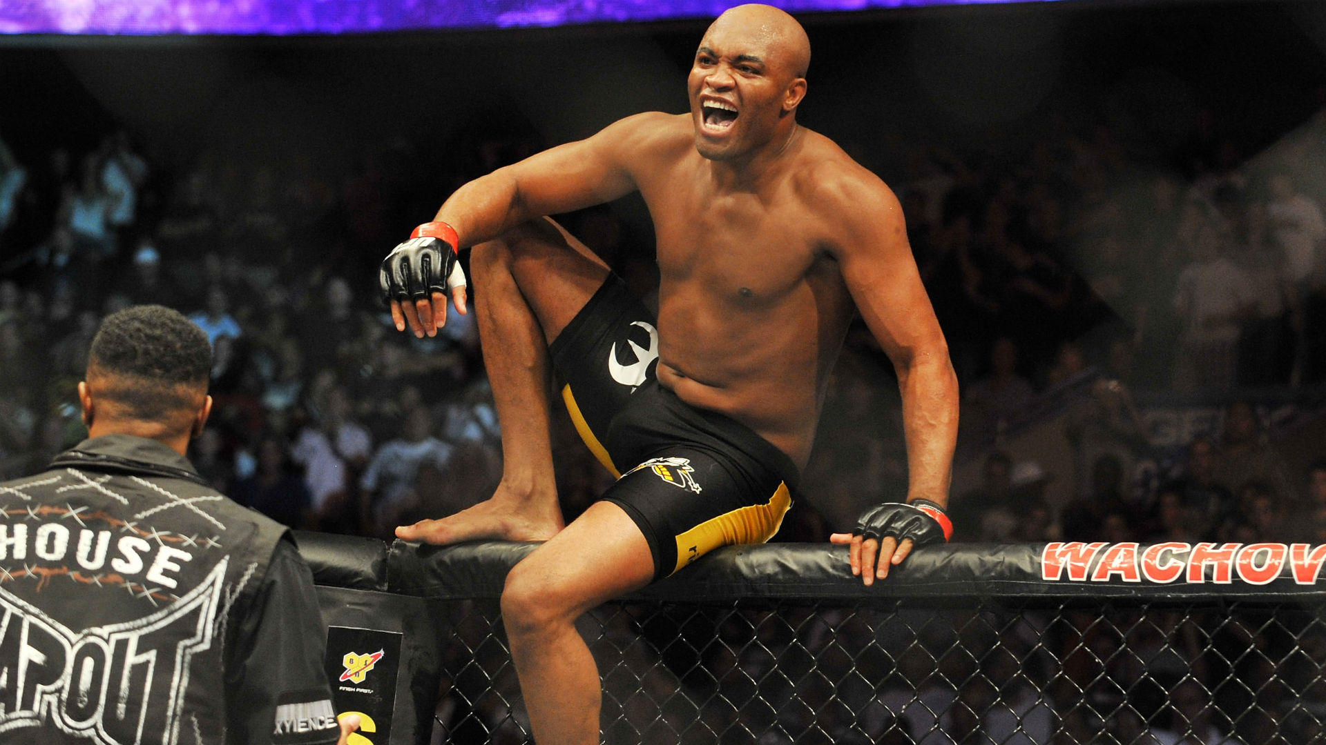 Resultado de imagen de anderson silva ufc