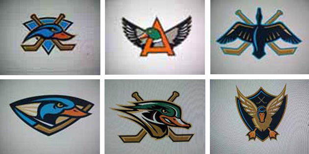 Anaheim Ducks Logo History