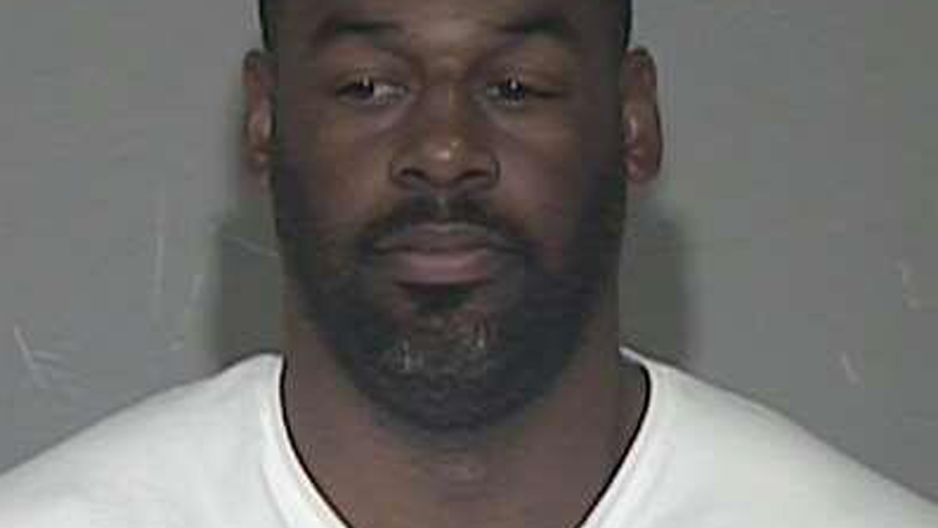 Arizona sheriff releases Dononvan McNabb mug shot from January DUI