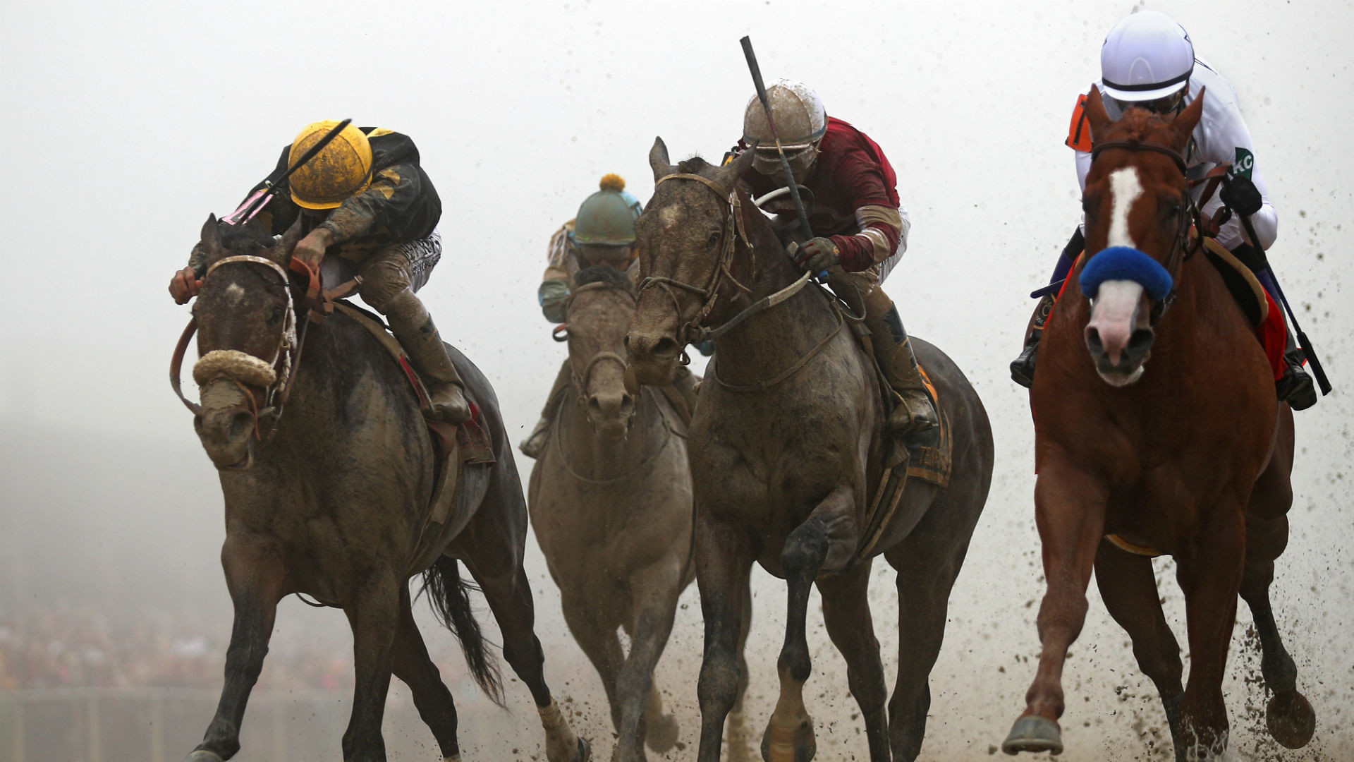 Preakness odds 2019: Picks, predictions and how to bet on horse racing