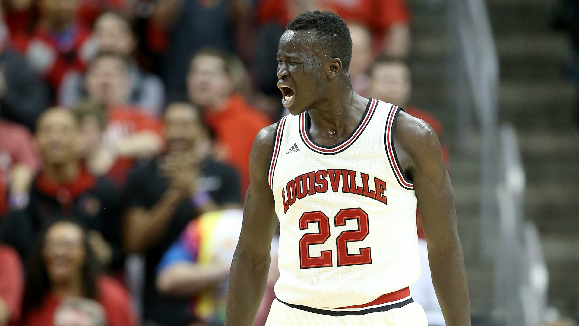 Louisville basketball  Donovan Mitchell not sure what Deng Adel