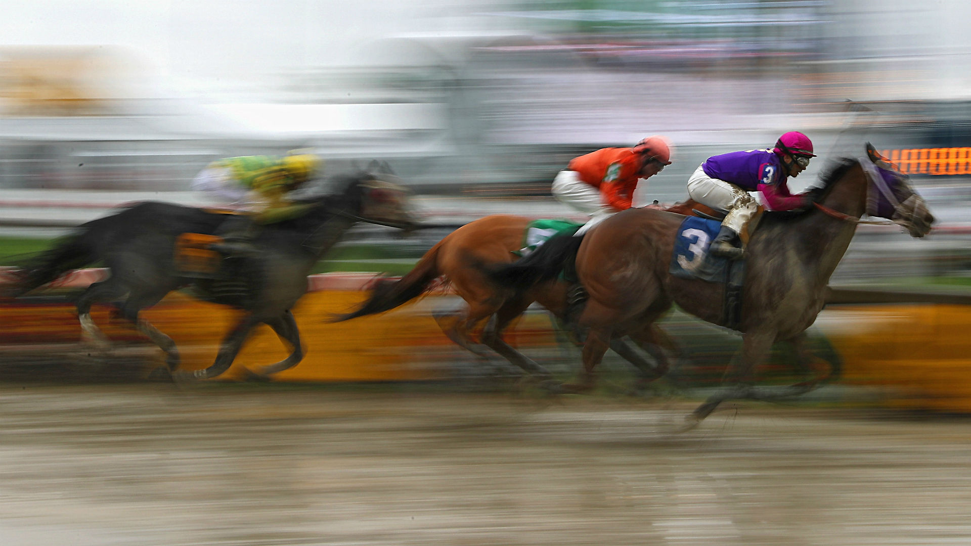 Preakness 2016 Two horses die in early races at Pimlico Other Sports